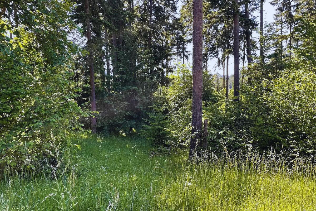 Elevated and Big - Sprague River, Oregon, USA