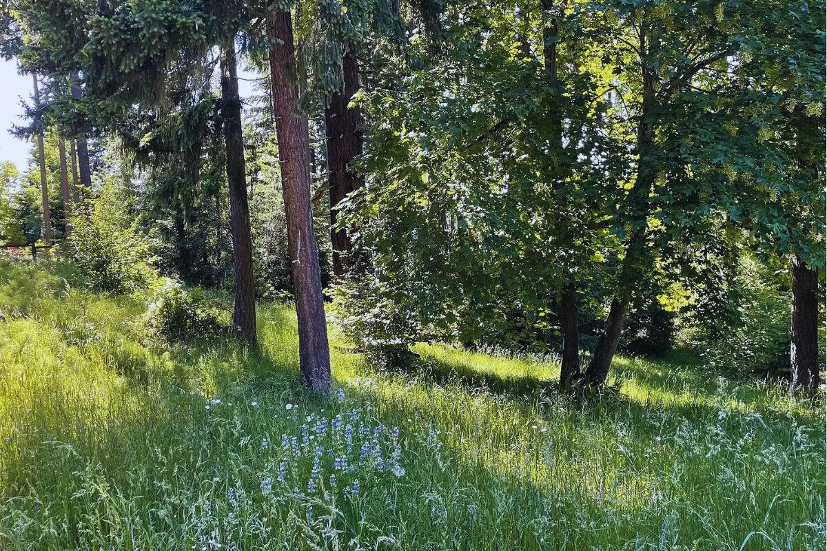 Elevated and Big - Sprague River, Oregon, USA