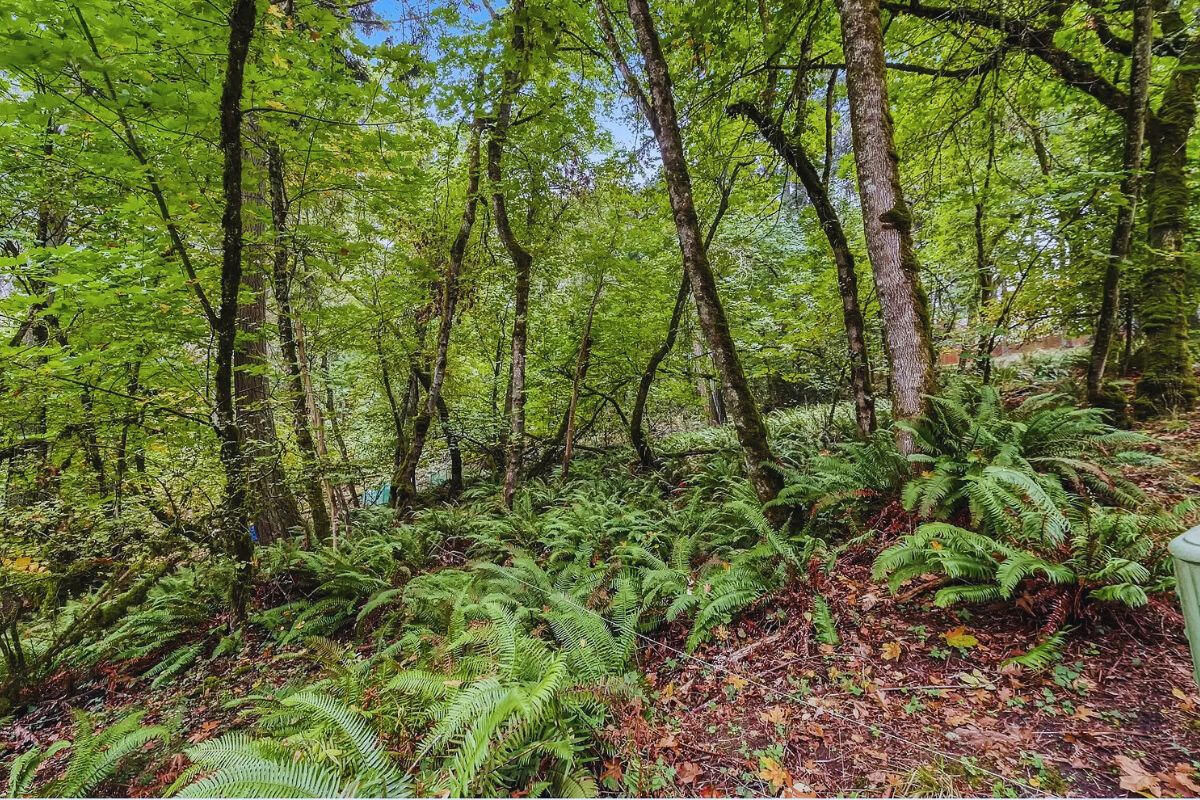 Elevated and Big - Sprague River, Oregon, USA