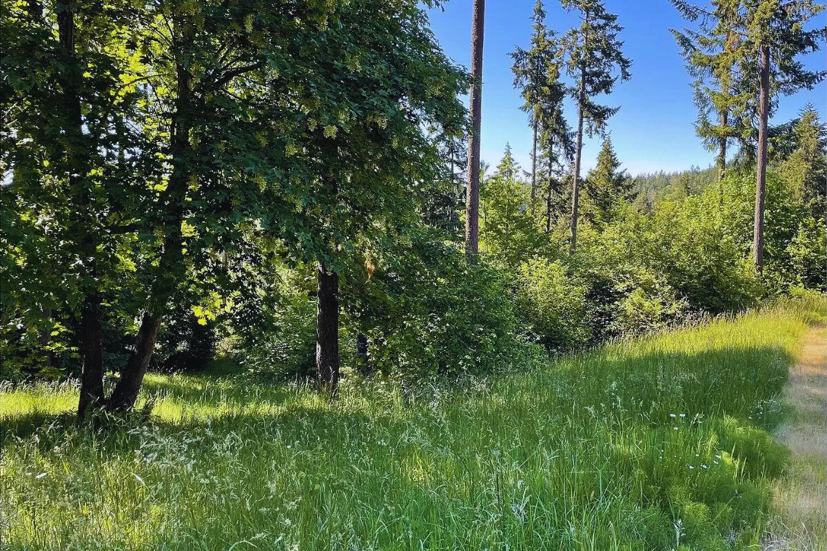 Elevated and Big - Sprague River, Oregon, USA