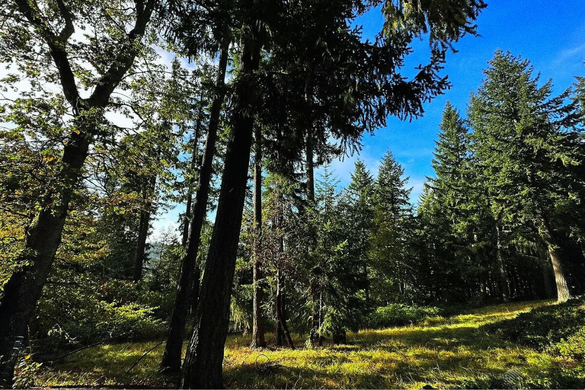 Elevated and Big - Sprague River, Oregon, USA