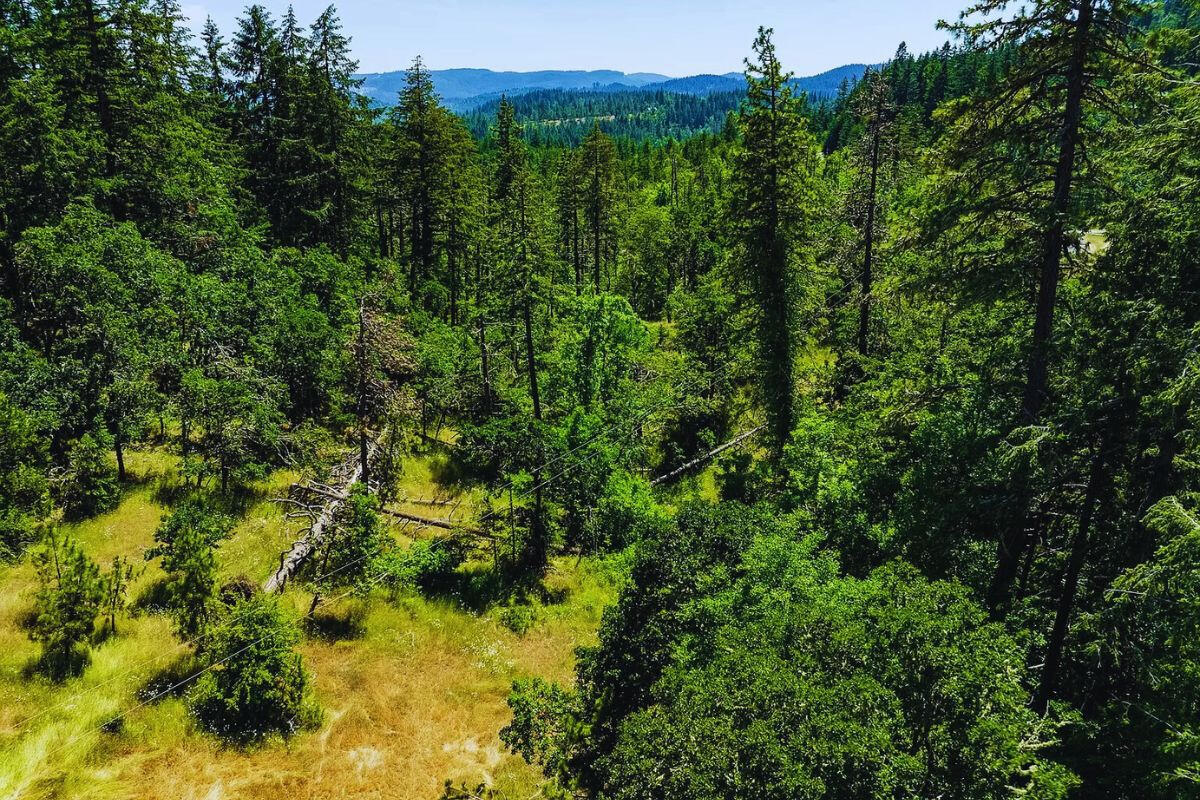 Elevated and Big - Sprague River, Oregon, USA