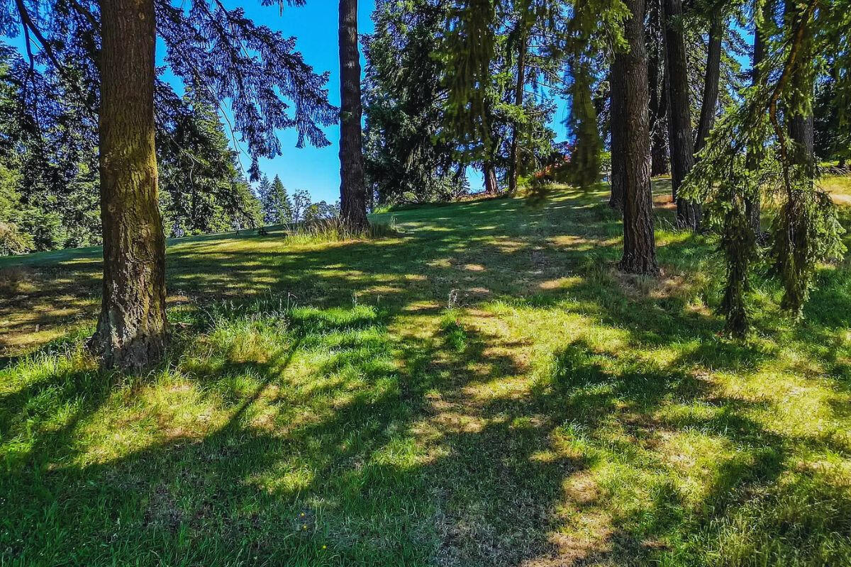 Elevated and Big - Sprague River, Oregon, USA
